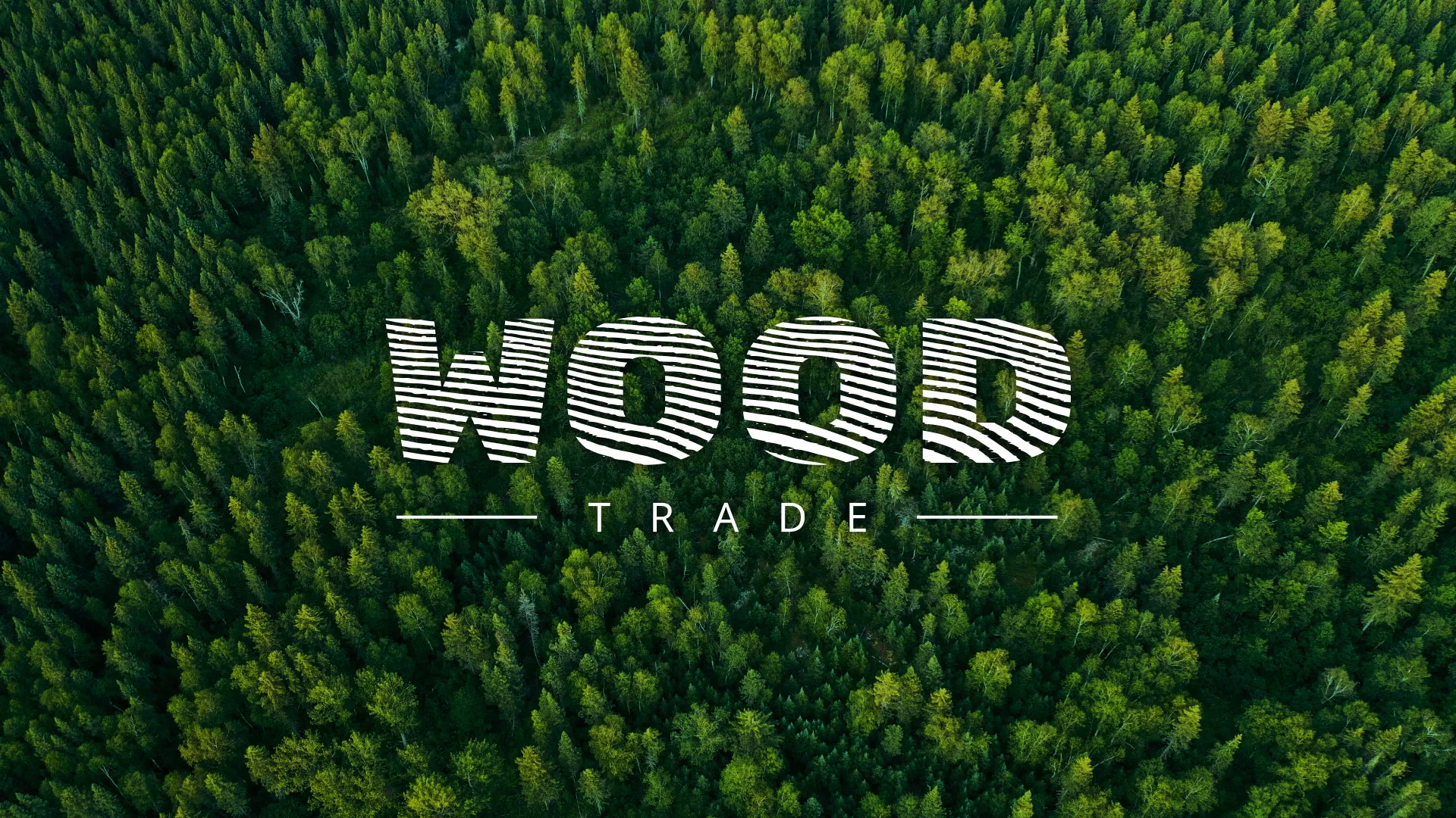 Разработка интернет-магазина компании «Wood Trade» в Таштаголе